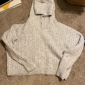 Cozy express sweater hoodie